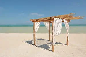 Mexico Prints: Mexico, Holbox island. A desert and tipical beach in the paradise of the Caribbean