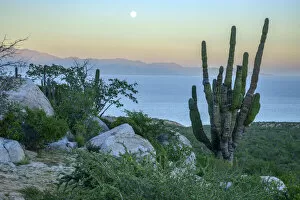 Mexico, Mexican, Baja California, Sur, El Sargento, Sea of Cortez, Isla Cerralvo at dawn