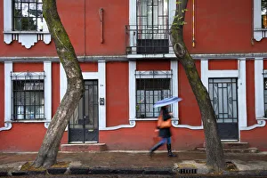 Mexico, Mexico City, Coyoacan, Place Of The Coyotes, Historic Neighborhood, Residential