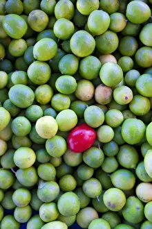 Fruit Gallery: Mexico. A red fruit in a pile of limes