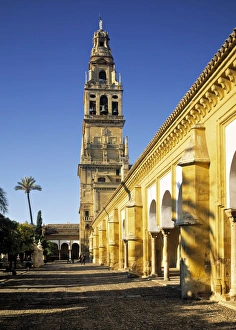 Rex Butcher Gallery: Mezquita, Cordoba
