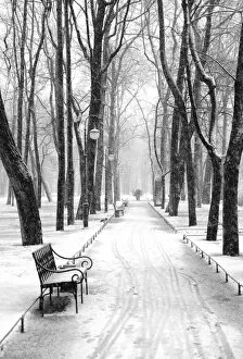 Images Dated 27th August 2014: Mikhailovsky Gardens in winter, Saint Petersburg, Russia