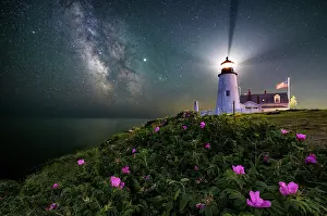 Navigation Prints: Milky Way and beach roses at Pemaquid Point Lighthouse, Bristol, Maine, USA