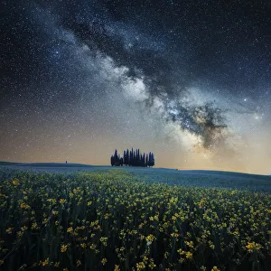 Western Prints: Milky way above the cypress forest in Val d Orcia, Tuscany, Italy