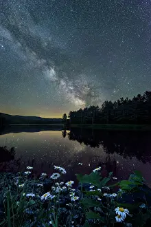 Starry Prints: Milky Way over daisies on Pearl Lake, Lisbon, New Hampshire, USA