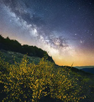 Appennino Prints: Milky way over flowering brooms in the central Appennines, Tuscany, Italy