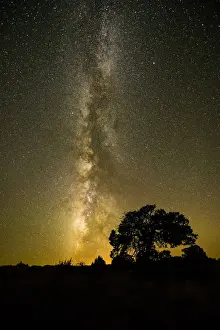 Americana Prints: Milky Way over Juniper Tree, Monument Valley Tribal Park, Arizona, USA