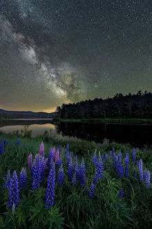 Dark Prints: Milky Way over lupines on Pearl Lake, Lisbon, New Hampshire, USA