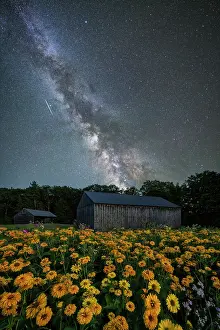 Milky Way Prints: Milky Way over Muster Field Farm garden, North Sutton, New Hampshire, USA