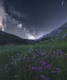 Appennino Centrale Prints: Milky way and wildflowers during late spring in the Appennines, Emilia Romagna, Italy