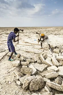 Salt Collection: Two miners breaking up salt blocks in the salt flat, Danakil Depression, Afar Region