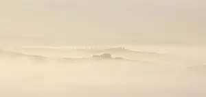 Cypress Trees Prints: Minimalist misty landscape with farmhouse and cypress trees in distance