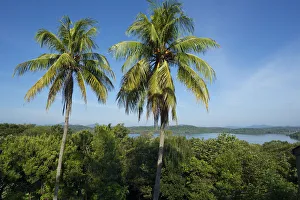 Minneriya Girotale Sanctuary, Sri Lanka