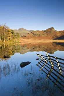 Mirror like reflections at Blea Tarn, Lake District National Park, Cumbria, England, UK Mirror like reflections at Blea Tarn, Lake District National Park, Cumbria, England, UK
