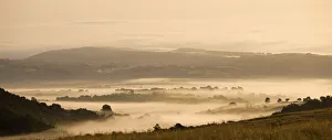 Mist covered countryside at dawn near Llangadog, Brecon Beacons National Park