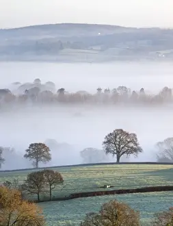 Mist covered countryside in the Exe Valley just north of Exeter, Devon, England. Winter