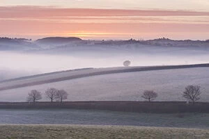 Images Dated 6th January 2015: Mist covered frosty countryside near Morchard Bishop, Devon, England. Winter (March)