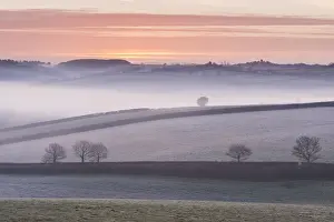 March Prints: Mist covered frosty countryside near Morchard Bishop, Devon, England. Winter (March)