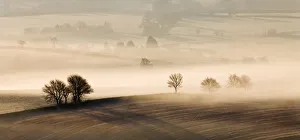 Mist covered rolling countryside, Near Thorverton, Devon, England. Winter (March) 2010