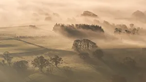 November Prints: Mist covered rolling countryside at dawn, Lake District, Cumbria, England. Autumn