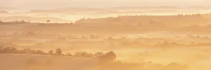March Prints: Mist covered rolling countryside at dawn, Dartmoor, Devon, England. Winter (March) 2016