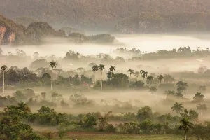 Vinales Prints: Mist driftng through the Vinales Valley at dawn, Vinales, Pinar del Rio Province, Cuba
