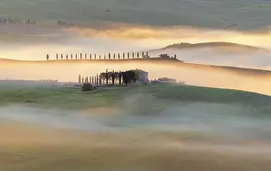 Golden Light Prints: Mist and golden light at sunrise