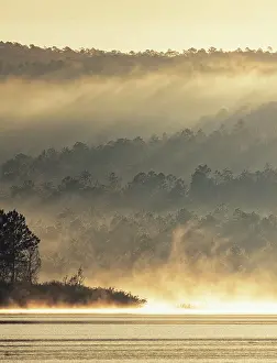 Vinales Prints: Mist rising off the water of Presa El Salto lake and into woodland