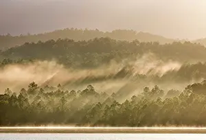 Vinales Prints: Mist rising off the water of Presa El Salto lake and into woodland