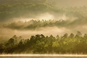 Vinales Prints: Mist rising off the water of Presa El Salto lake and into woodland