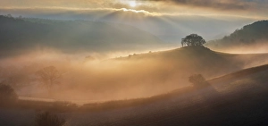 Mavic Prints: Mist shrouded countryside at dawn