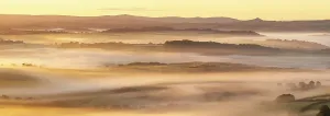Serenity Prints: Mist shrouded rolling countryside at dawn, Lifton, Devon, England. Autumn (September) 2025