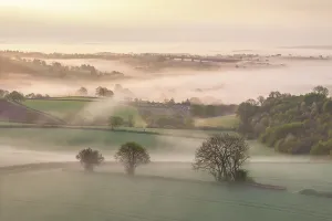 Mid Devon Prints: Mist shrouded rolling countryside at dawn, mid Devon, England. Spring (April) 2025