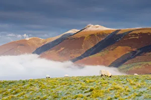Mist Below Skiddaw, Lake District National Park, Cumbria, England