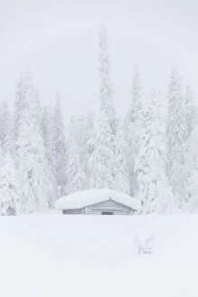 White Gallery: Mist on snow covered hut, Levi, Kittila, Lapland, Finland
