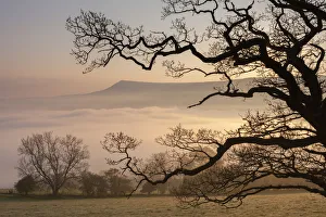 Misty dawn looking towards Mynydd Llangorse in the Brecon Beacons National Park, Powys Misty dawn looking towards Mynydd Llangorse in the Brecon Beacons National Park, Powys