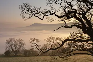 Powys Prints: Misty dawn looking towards Mynydd Llangorse in the Brecon Beacons National Park, Powys