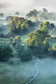 Misty dawn from Loughrigg Fell, Lake District National Park, Cumbria, England, UK