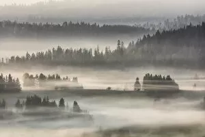 Misty dawn over the Pieniny Mountains, Poland