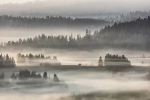 Misty dawn over the Pieniny Mountains, Poland