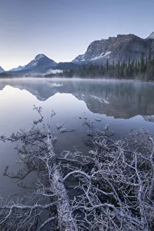 Misty and frosty morning at Bow Lake in Banff National Park, Alberta, Canada