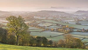 Fields Gallery: Misty Glastonbury Tor and the Somerset Levels from the Mendip Hills, Somerset, England