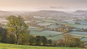 November Prints: Misty Glastonbury Tor and the Somerset Levels from the Mendip Hills, Somerset, England
