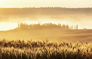 Val Dorcia Prints: Misty golden landscape at dawn