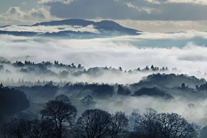 Grand View Prints: Misty Landscape in Winter, near Windermere, Lake District National Park, Cumbria, England
