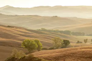 Val Dorcia Prints: Misty late summer landscape, Val d'Orcia, near San Quirico d'Orcia, Tuscany, Italy