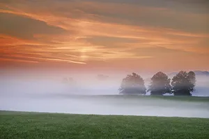 Weilheim Schongau Prints: Misty mood - Germany, Bavaria, Upper Bavaria, Weilheim-Schongau, Obersochering