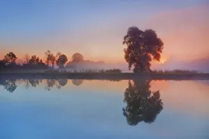 Rosenheim Prints: Misty mood at pond - Germany, Bavaria, Upper Bavaria, Rosenheim, Bad Aibling