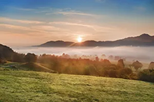 Misty mood in wetland - Germany, Bavaria, Upper Bavaria, Bad Tolz-Wolfratshausen, Kochel Misty mood in wetland - Germany, Bavaria, Upper Bavaria, Bad Tolz-Wolfratshausen, Kochel