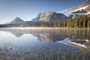 Rockies Prints: Misty morning at Bow Lake in the Canadian Rockies, Alberta, Canada